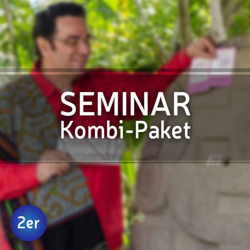 Seminar Kombi-Paket: Level 1 Ayahuasca-Symbole und Level 2 Lichtsymbole-Seminar